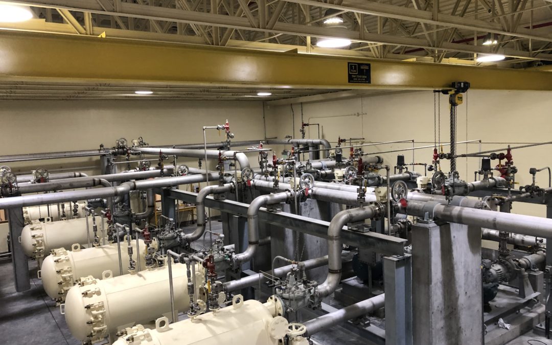 WEEK ENDING 11/17/19